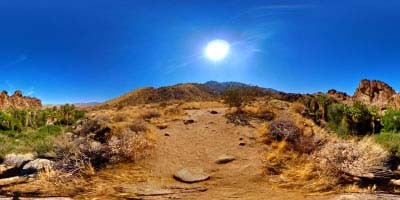 荒漠 戈壁  (24).jpg