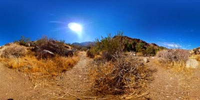 荒漠 戈壁  (28).jpg