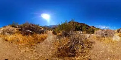 荒漠 戈壁  (28).jpg