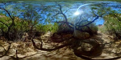 荒漠 戈壁  (29).jpg