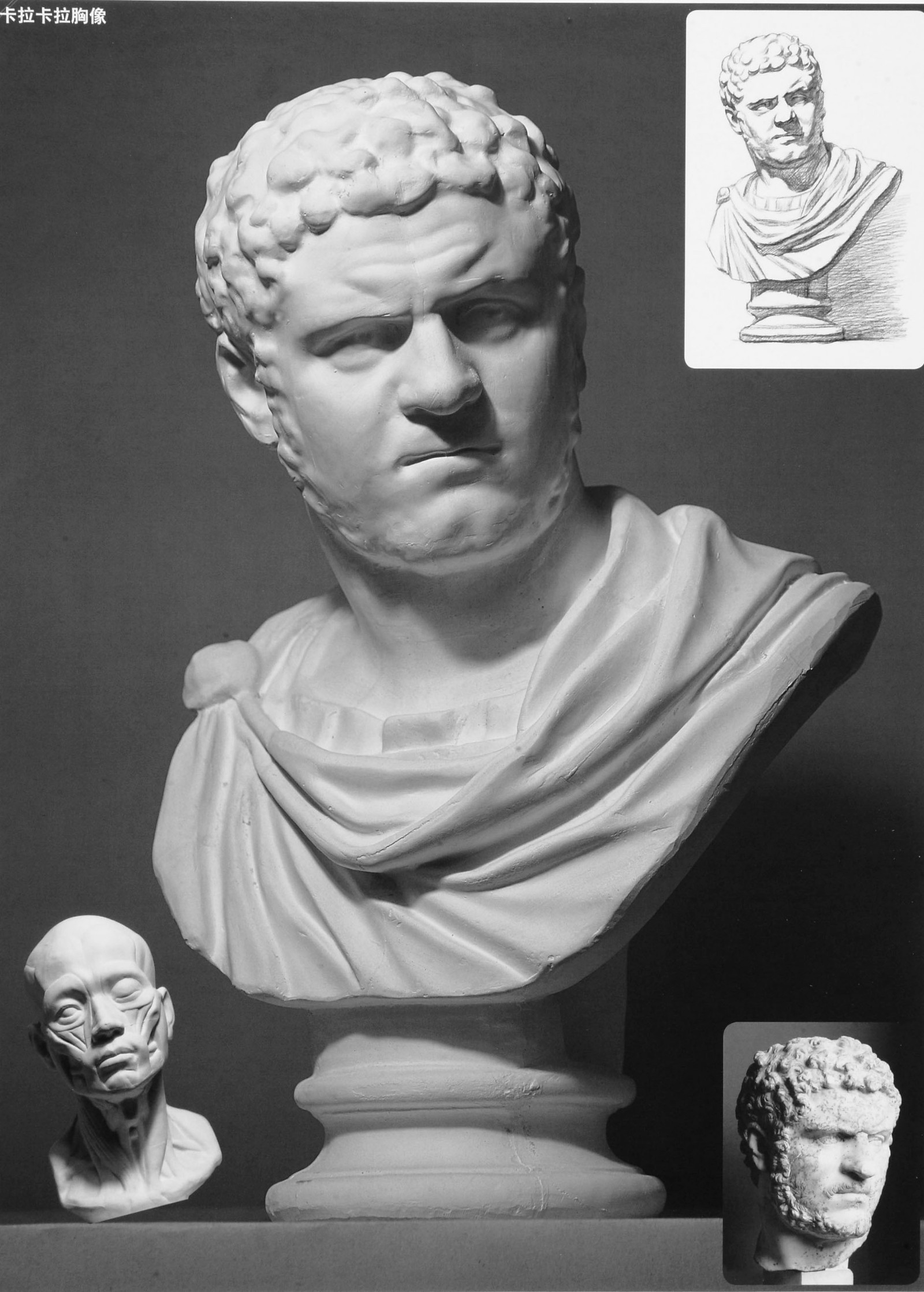 3石膏头像胸像.jpg