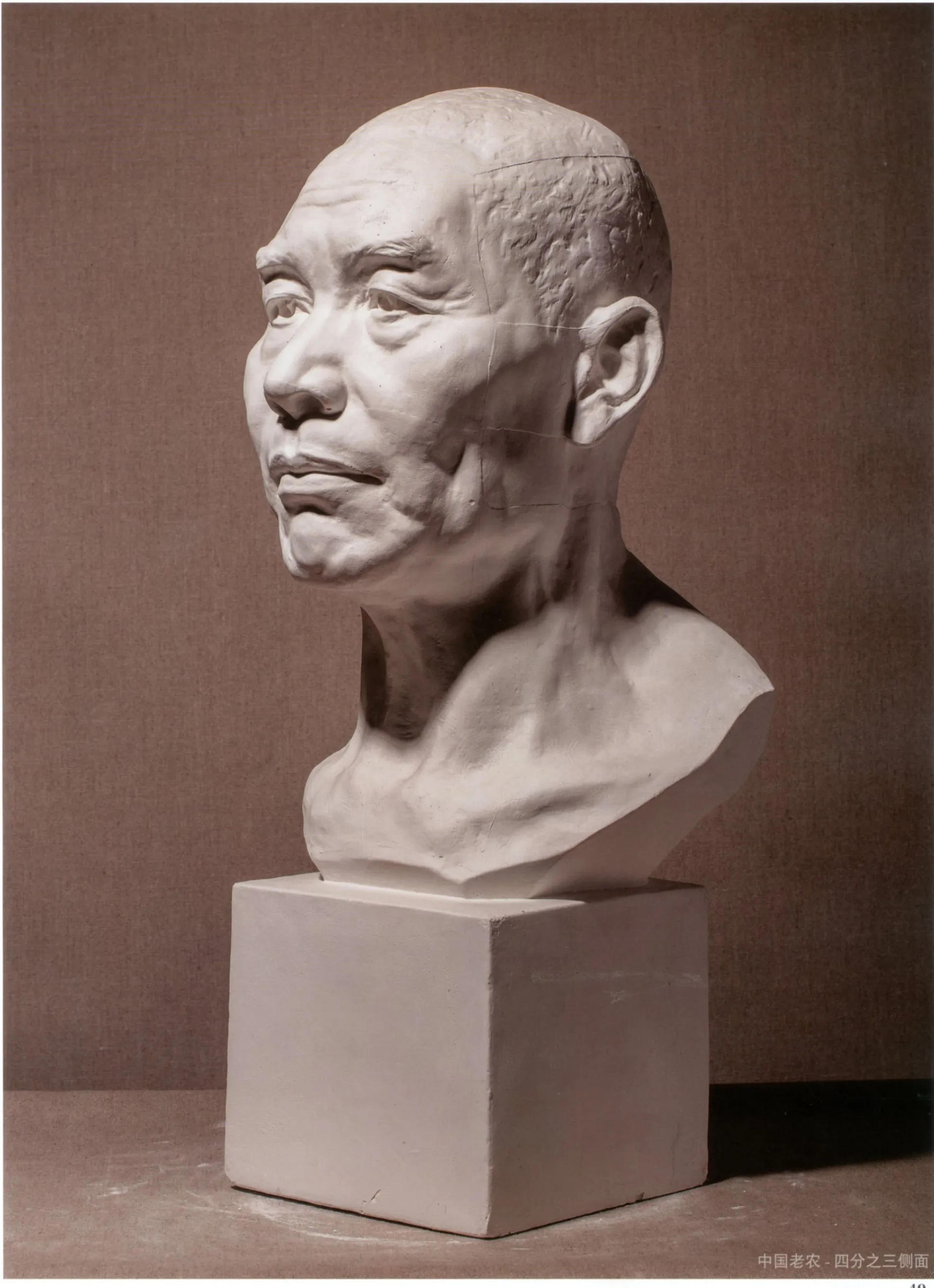 4中国老农1-四分之三侧面.jpg